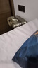 熊猫熊卡皮巴拉玩偶抱枕公仔毛绒玩具布娃娃女孩生日毕业礼物女生超大号 实拍图