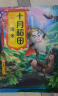 十月稻田 红小豆 2斤（ 红豆 杂粮 粗粮 真空装 大米伴侣 ） 实拍图
