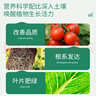 德沃多肥料三元复合肥5.2斤蔬菜农用种菜花肥料盆栽果树有机化肥氮磷钾肥 实拍图