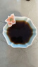 一念方圆纯手工捏花女主人杯品茗杯办公粉色功夫茶具单杯陶瓷喝茶杯家用 手捏梅花杯（蓝） 实拍图