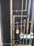 ZBEI造贝大白瓶前置过滤器反冲洗 全屋中央净水器家用大流量自来水净化1微米精滤旁通阀设计反冲洗功能 单联基础过滤PP棉【免费安装】 实拍图