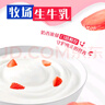 蒙牛（MENGNIU）纯甄鲜果草莓果粒风味酸奶【加量不加价】笑脸包京东专供211g×10 实拍图