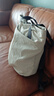 Bellroy澳洲 Lite Totepack 18L 春季新款机能托特包双肩包书包户外背包 月光白 晒单实拍图