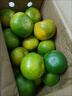 柏馋青皮橘子 云南蜜桔青桔子酸橘子新鲜应季孕妇水果 5斤 净重4.5斤实惠装 实拍图