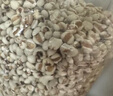 禾煜薏米仁 2斤（贵州薏米 大粒薏米 五谷杂粮 粗粮真空装 粥米伴侣） 实拍图