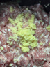 苏泊尔（SUPOR）绞肉机家用 绞馅机辅食机婴儿多功能大容量料理机饺子肉馅蒜蓉机JR69AS-B175 实拍图