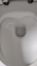 【洁厕神油】洁厕灵洁厕凝胶马桶清洁剂洁厕液去味清新500g/瓶 体验款 到手2瓶 实拍图