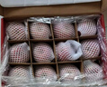 京鲜生 山东栖霞红富士苹果精品12粒 单果190g-240g  生鲜水果 礼盒 实拍图