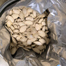 三胖蛋 内蒙盐焗味南瓜子176g罐装熟南瓜籽炒货零食休闲小吃 实拍图