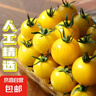 黄金玲珑圣女果迷恋樱桃番茄西红柿新鲜黄色水果现摘柿子 2斤（带箱） 实拍图