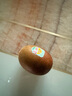 佳沛（zespri）新西兰  阳光金奇异果16粒礼盒经典果单果约 77-103g 水果 猕猴桃 实拍图