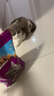 伟嘉成猫猫粮3.6kg海洋鱼味布偶英短猫咪夹心粮全价粮【原料透明】 实拍图