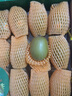 佳沛（zespri）新西兰 阳光金奇异果12粒礼盒特大果单果约122-146g 猕猴桃 水果 实拍图