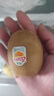 佳沛（zespri）新西兰 新果季 阳光金奇异果33粒原箱单果重约101-114g 猕猴桃 实拍图