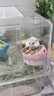 布卡星仓鼠木屑垫料吸水祛味兔子金丝熊龙猫宠物用品果木味1kg*2包 实拍图