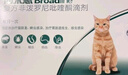 博来恩(Broad line)猫咪体内外同驱去跳蚤S号进口原研药幼猫3支装 实拍图