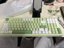 惠普（HP）K300真机械手感键盘 轻音高颜值 98客制化配列 插拔有线游戏笔记本电脑 绿色绿心三拼键帽 实拍图