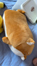 名创优品（MINISO）柴犬系列毛绒公仔趴姿玩具娃娃抱枕睡觉室内卧室办公室生日礼物 实拍图