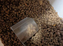 美士（Nutro）全护营养系列幼猫猫粮鸡肉配方5磅2.27kg 实拍图