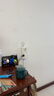 Apple/苹果 20W USB-C手机充电器 原装充电器手机快充头苹果充电器  适用iPhone/iPad/Watch/AirPods 实拍图
