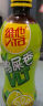 维他奶维他鸭屎香柠檬茶500ml*15瓶 实拍图
