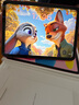 Apple/苹果【国家补贴】iPad 11英寸 A16芯片2025年款 平板电脑 (256GB WLAN版/学习办公娱乐)粉色 实拍图