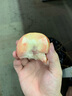 京愿 新鲜水蜜桃 毛桃 脆甜桃子 红不软  当季新鲜孕妇水果生鲜 5斤（净重4.5斤） 实拍图