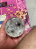 福施福红枣富铁软糖 双重铁源 儿童孕妇女性姨妈期补充营养 90g 实拍图