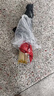 HAILE海乐束线管包线管理线管缠绕管 直径28mm长10米黑色电线收纳理线器配2个理线夹LX-28H-10 实拍图