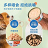 多可特（D-cat）狗罐头狗零食罐头成犬幼犬全品种狗粮伴侣狗狗湿粮膳食罐 【活动力荐】混合口味85g20罐 实拍图