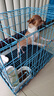 麦富迪狗粮 藻趣儿2.5kg 成犬中大型小型犬通用（牛肉螺旋藻）金毛泰迪 实拍图