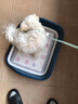 憨憨乐园狗厕所大型犬泰迪狗狗用品尿盆便盆屎小型犬中型宠物冲水围栏超大 实拍图