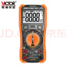 胜利仪器（VICTOR）万用表高精度型电工专用数字万能表家用型智能防烧 VC890C+MAX 实拍图