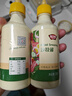 极美滋 沙拉酱 三明治汉堡面包蛋黄酱 烘焙食材调味酱 原味瓶装250g*2瓶 实拍图