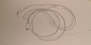 Apple 采用 (USB-C)的 EarPods 耳机 iPhone iPad 耳机 手机耳机 MYQY3FE/A*企业专享 实拍图