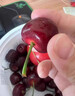 山东红灯樱桃超甜产地包邮应季采摘孕妇新鲜水果红樱桃当季热卖 2.8斤(净重) 红灯大樱桃 大果(26-28mm) 晒单实拍图