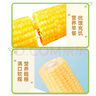 北纬47°年年有玉黄糯玉米段3.6斤 5包*7段 3厘米鲜玉米段 东北粘玉米早餐 实拍图