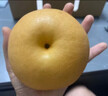 三萌果蔬正宗山东秋月梨 新鲜现摘莱阳冰糖梨子水果礼盒节日送礼 【精选级-中果】单果250-300g 5斤装【店长力荐-80%选择】净重4.5斤 实拍图