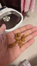 猫罐头 湿粮包猫零食进口成猫猫粮主食妙鲜包85g*24混合味 实拍图