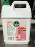 滴露（Dettol）洗手液补充装大桶消毒滋润5L 儿童家庭装杀菌护手 实拍图