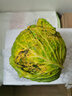 新鲜甘蓝包菜卷心菜新鲜嫩绿莲花白现摘现发早餐减脂 新鲜包菜 1斤 人工挑拣 实拍图