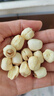 建莲绿色莲子300g 正宗建宁通心白莲 去芯莲米新鲜干货特产一级无硫熏 实拍图