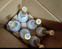 汾酒 黄盖玻汾 清香型白酒 53度 475mL*6瓶 整箱装非原箱 实拍图
