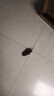 猫玩具小老鼠毛绒宠物猫咪玩具仿真遥控老鼠手动幼猫自嗨逗猫狗狗 【棕色】发条小老鼠 实拍图