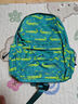 Landcase儿童背包女2024新款大容量小学生书包初中轻便双肩包男3986鳄鱼绿 实拍图