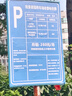 迪加伦 夏季汽车坐垫 凉垫 单片 竹丝凉席靠背腰靠木珠竹排通风透气按摩座垫前排四季通用 (单人座) 实拍图