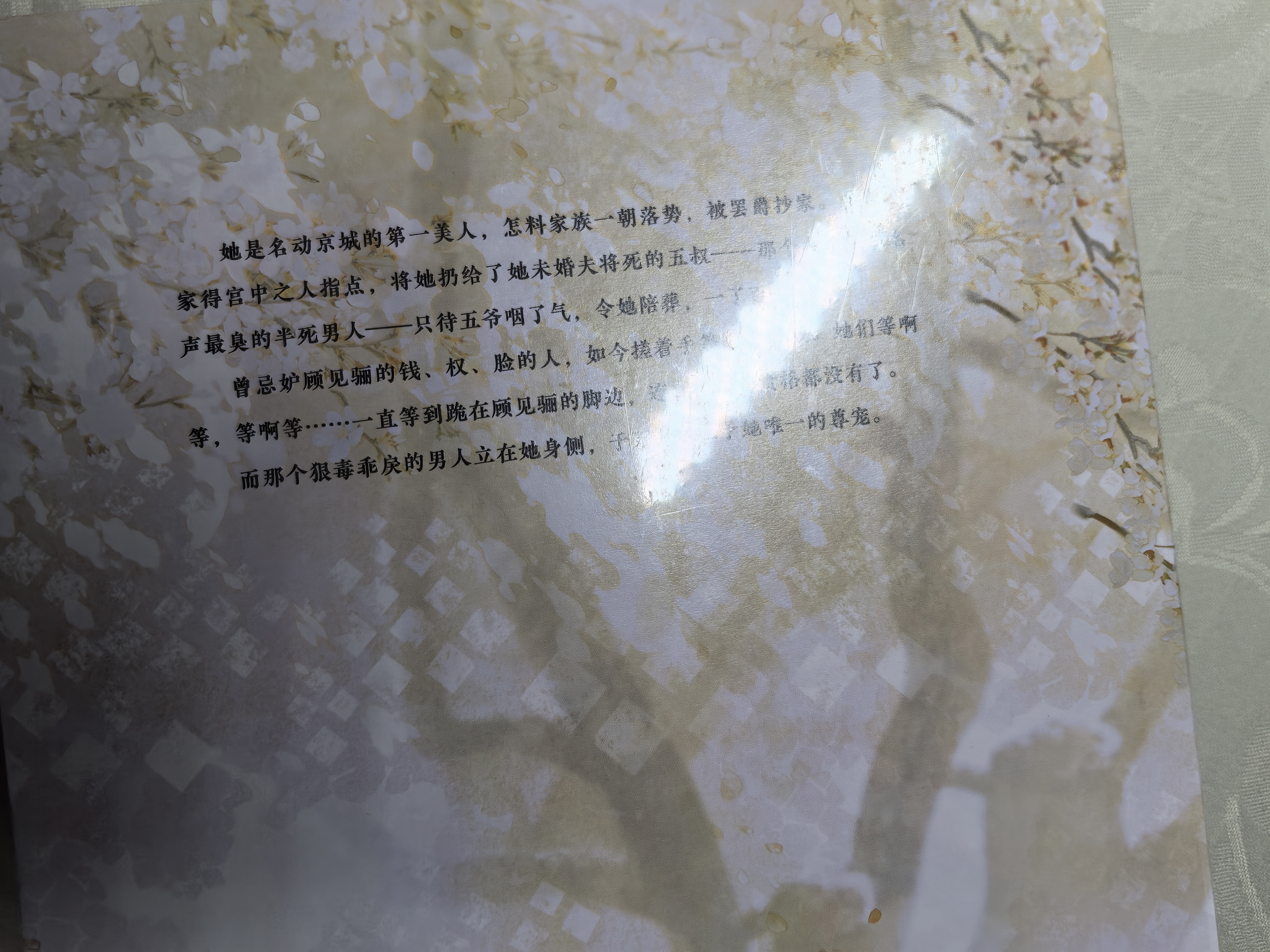 【限量亲签】凤行舟全二册 团子来袭著网络原名：穿成亡国太子妃畅销古代权谋言情小说书籍将门嫡女成何体统赠海报折立卡 实拍图