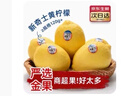 优味集进口新奇士柠檬【JD顺丰现货速发】新鲜南非黄柠檬生鲜水果整箱 250g 商超级大果（120g+） 实拍图