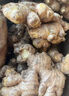 云南小黄姜新鲜生姜子自营生鲜姜月子姜超市蔬菜调料姜 净重 1500g 实拍图