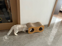 萌嘟星宠 猫抓板猫窝猫隧道猫玩具猫沙发别墅立式磨爪猫咪用品 小猫抱鱼款 实拍图